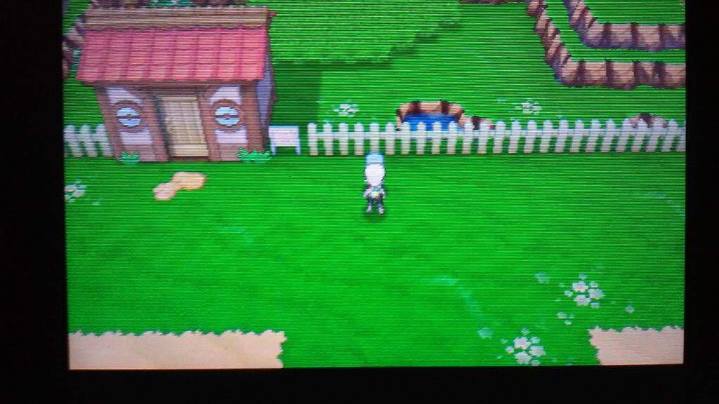 The Pokémon Daycare Pokémon Amino