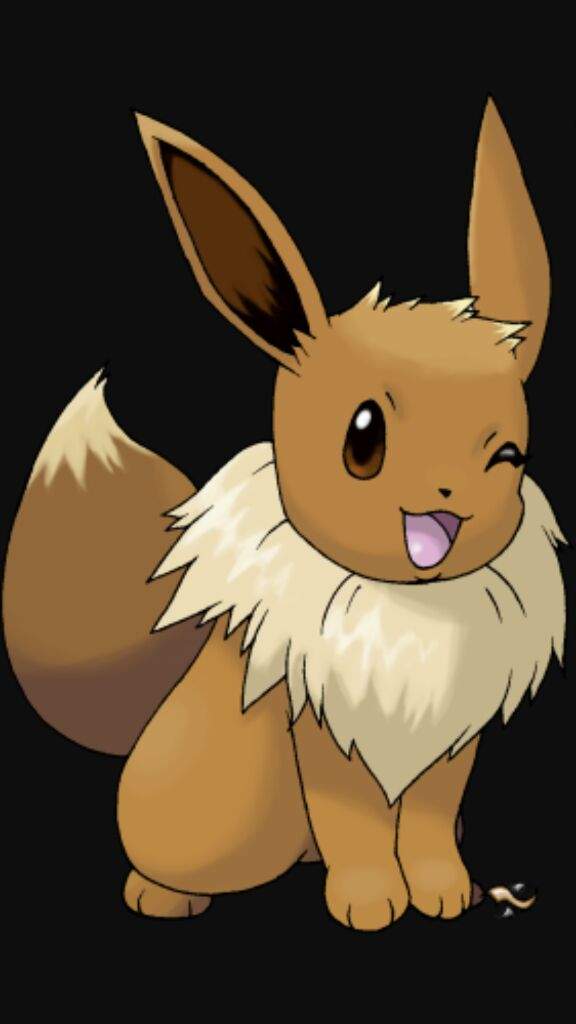 Pokemon of the day evee | Pokémon Amino