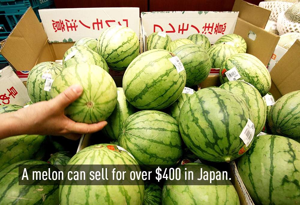  Japanese Culture 20 Facts About Japan Anime Amino