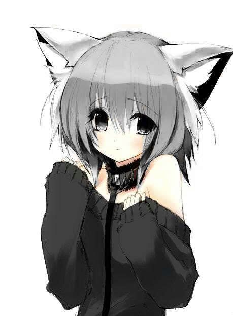 Female Neko | Anime Amino