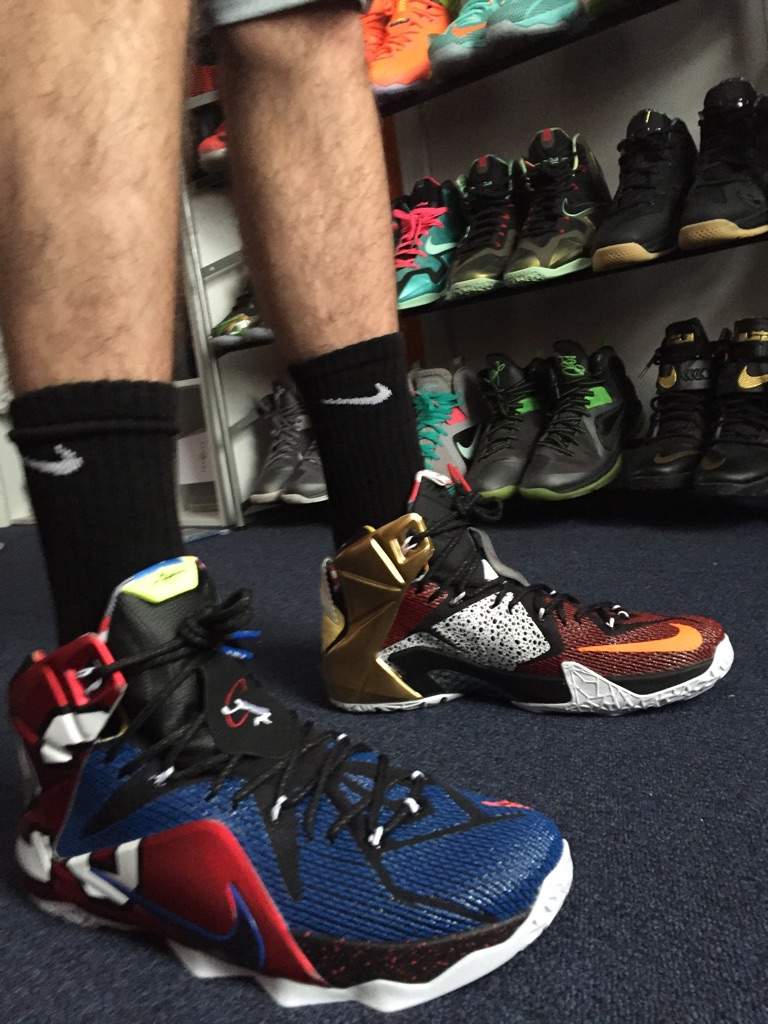types of lebrons