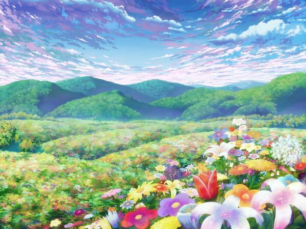 open fields anime amino