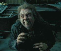 peter pettigrew wormtail hangi karakterisin