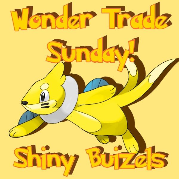 plads Opmuntring Klemme Finished Wonder Trade Sunday: Shiny Buizel | Pokémon Amino