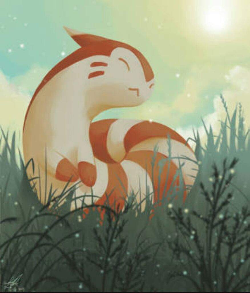 Pokemon of the day part 1 furret | Pokémon Amino