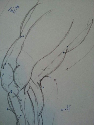 Drawing contest entry | Wiki | Anime Amino