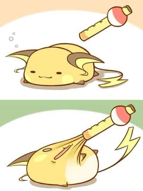 Raichu Memes Pokemon | Anime Amino