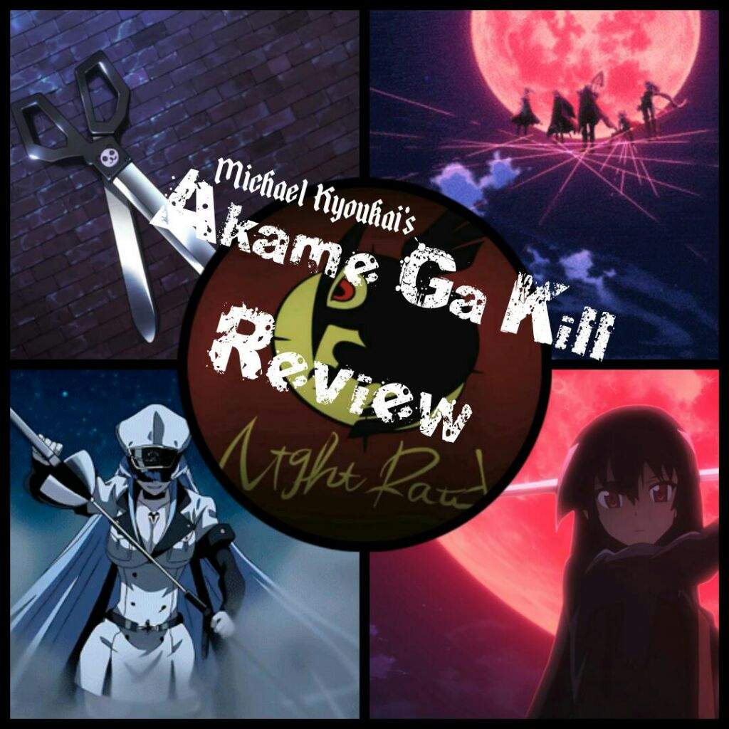 Akame Ga Kill Review Anime Amino
