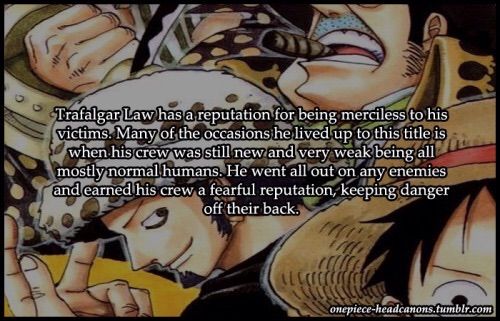 One Piece Headcanon 