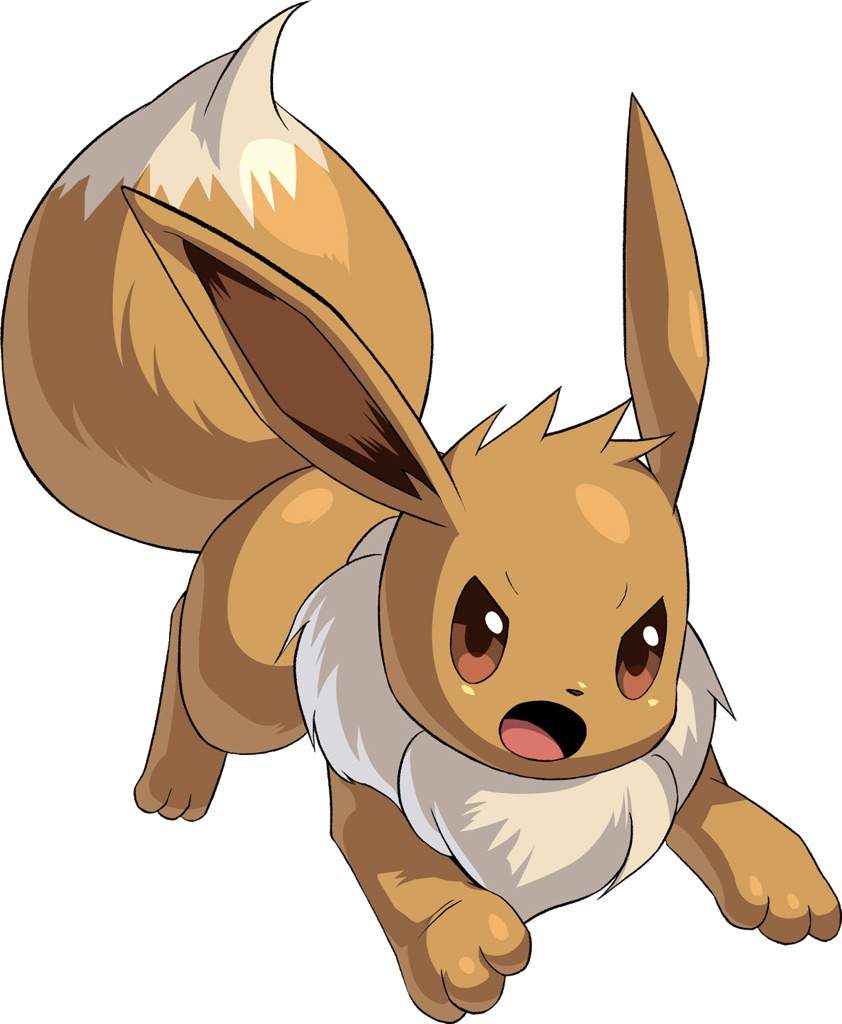 Eevee | Wiki | Pokémon Amino