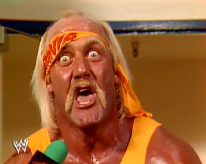 If Hulk Hogan came back who would you want him to face? 