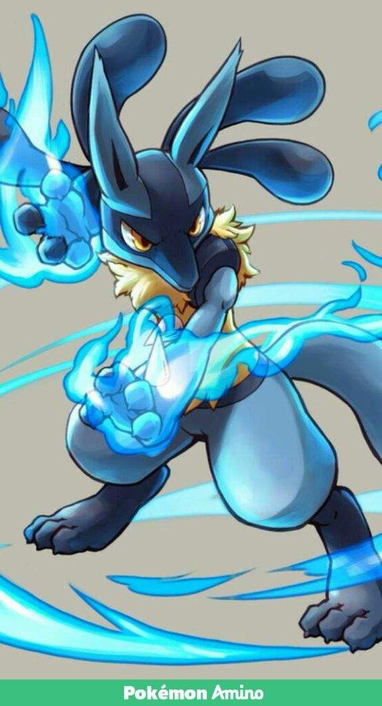 Lucario lucario lucario lucario lucario is the best pokemon of the ...