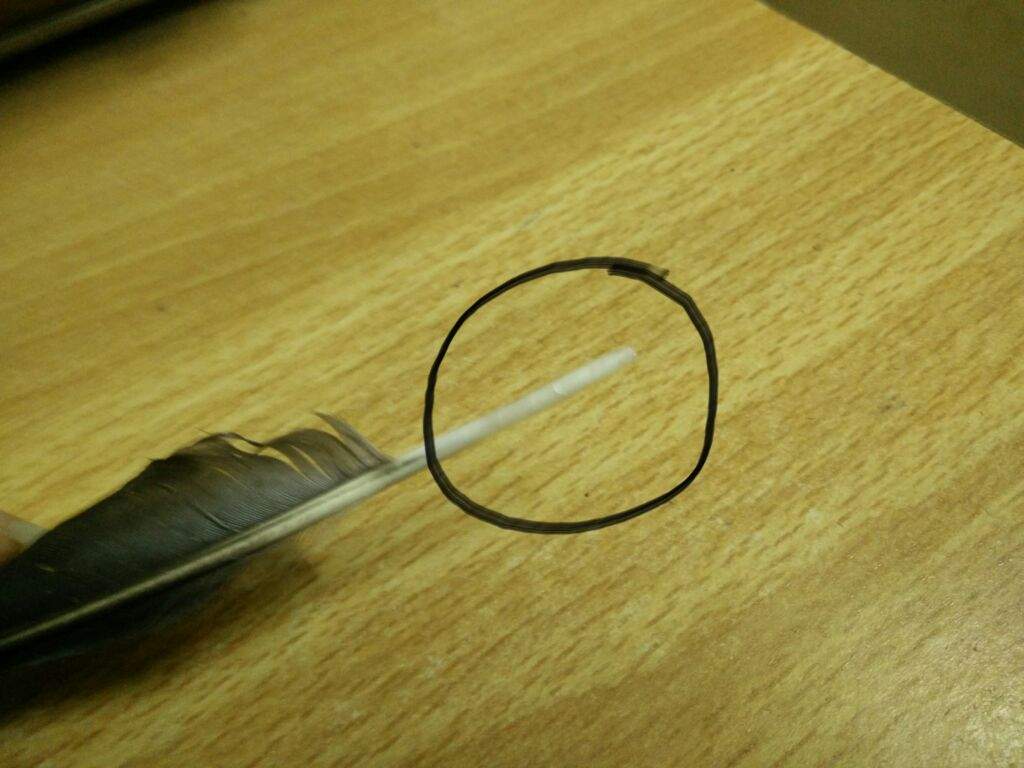 Make your own Quills Harry Potter Amino