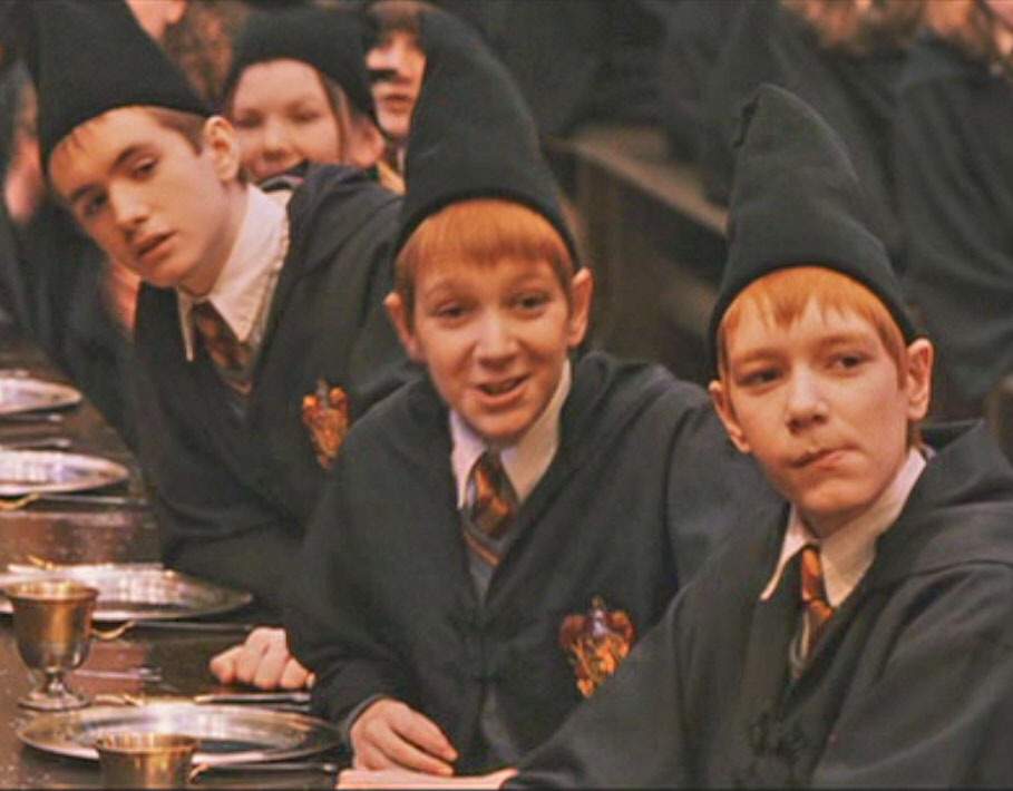 Harry Potter Hogwart/'s Student Hat
