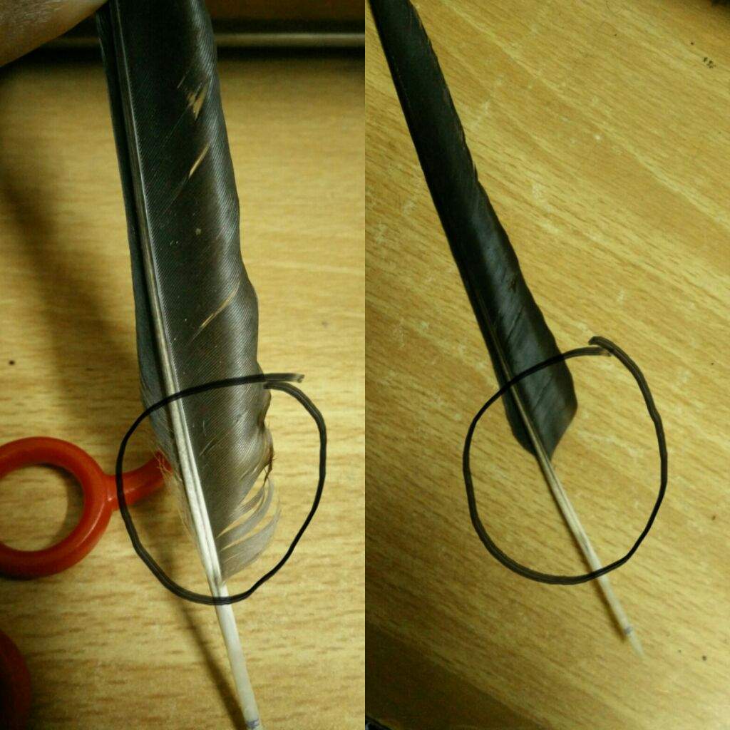 Make your own Quills Harry Potter Amino