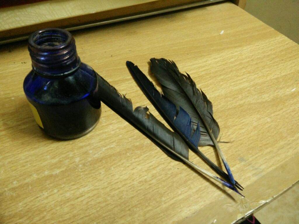 Make your own Quills Harry Potter Amino