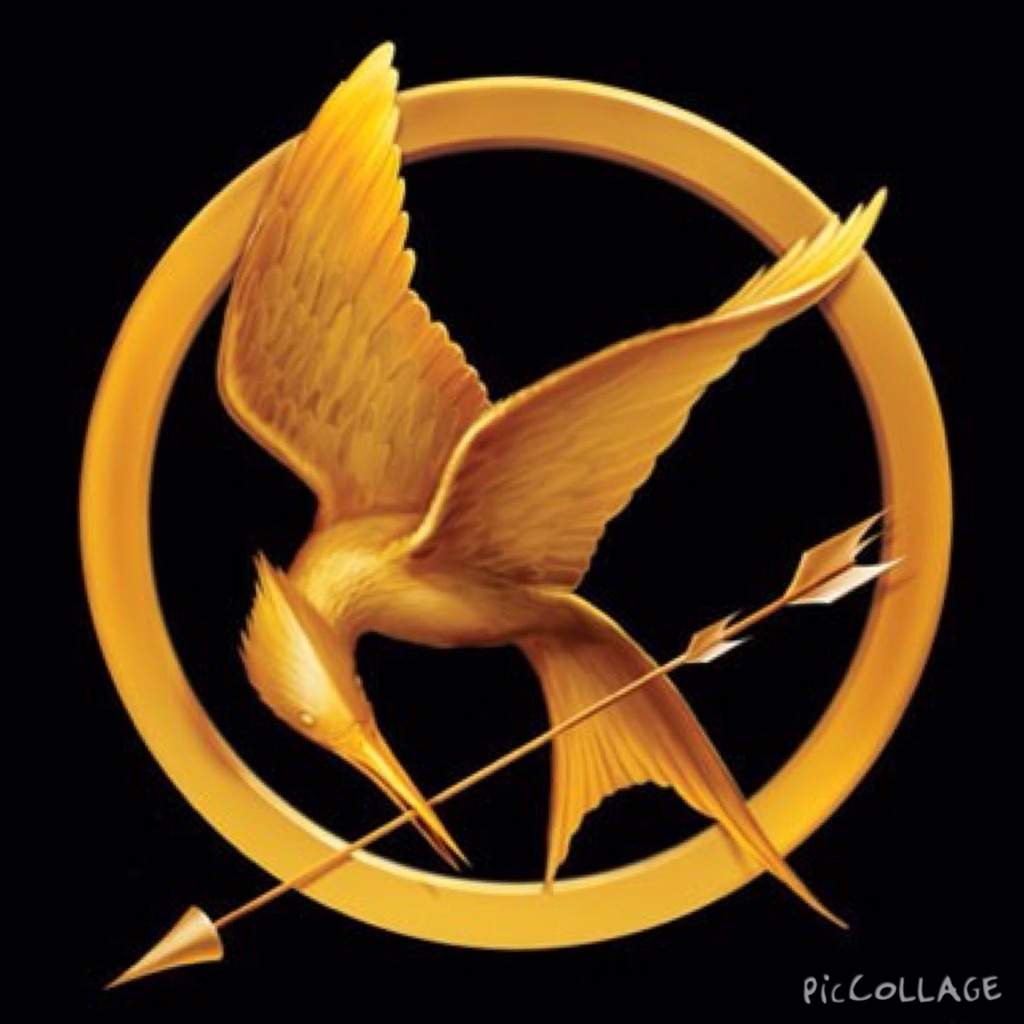 Hunger Games | Wiki | Harry Potter Amino