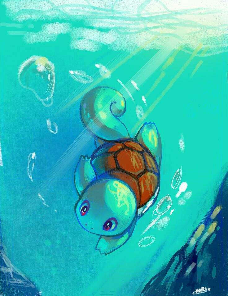 squirtle stuff