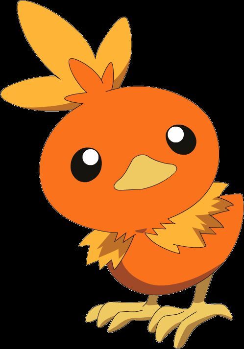 torchic pokedoll