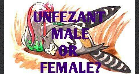 Unfezant Male or Female Form? | Pokémon Amino