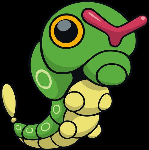 Caterpie | Wiki | Pokémon Amino