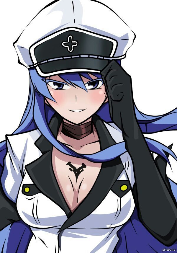 general esdeath figure