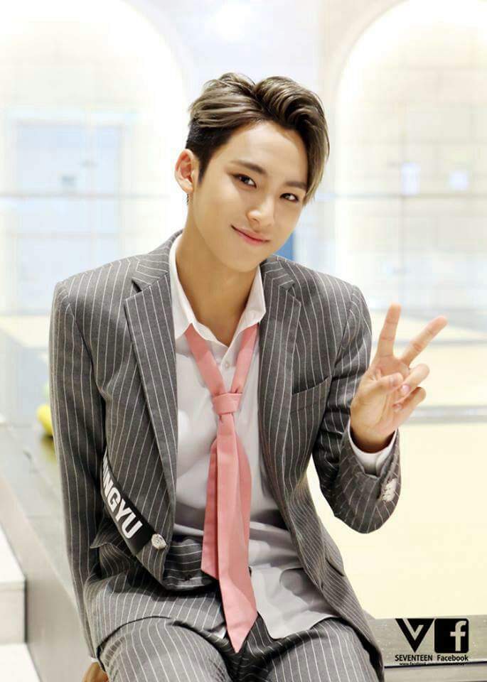 Kim Mingyu | Wiki | K-Pop Amino