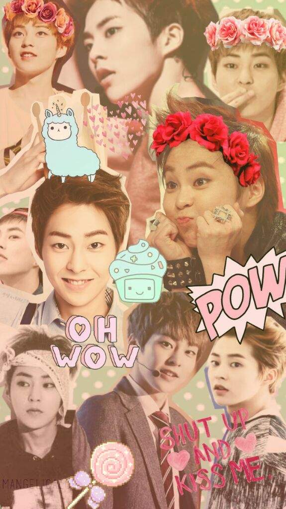 Xiumin K Pop Amino