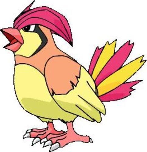 pidgey toy