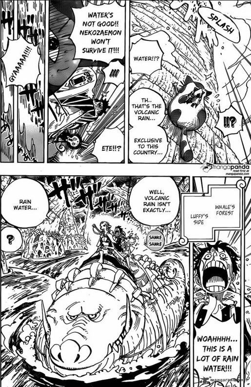 One Piece Manga Chapter 806 Full Review Spoilers Anime Amino