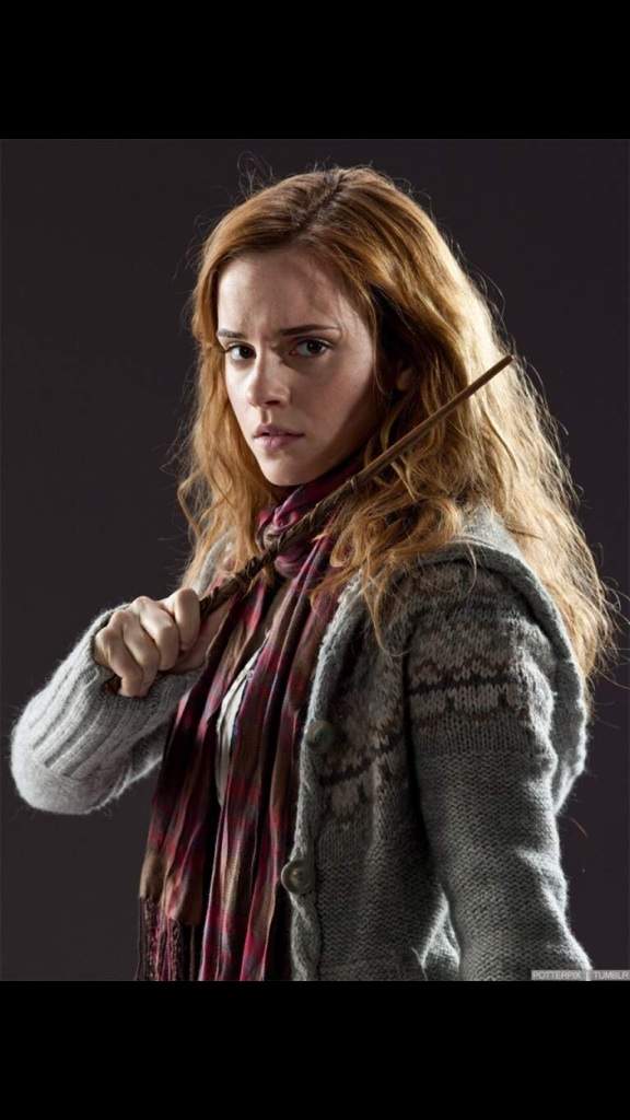 Hermione Granger | Wiki | Harry Potter Amino