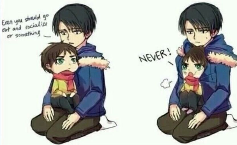 eren you cute brat ❤️  anime amino