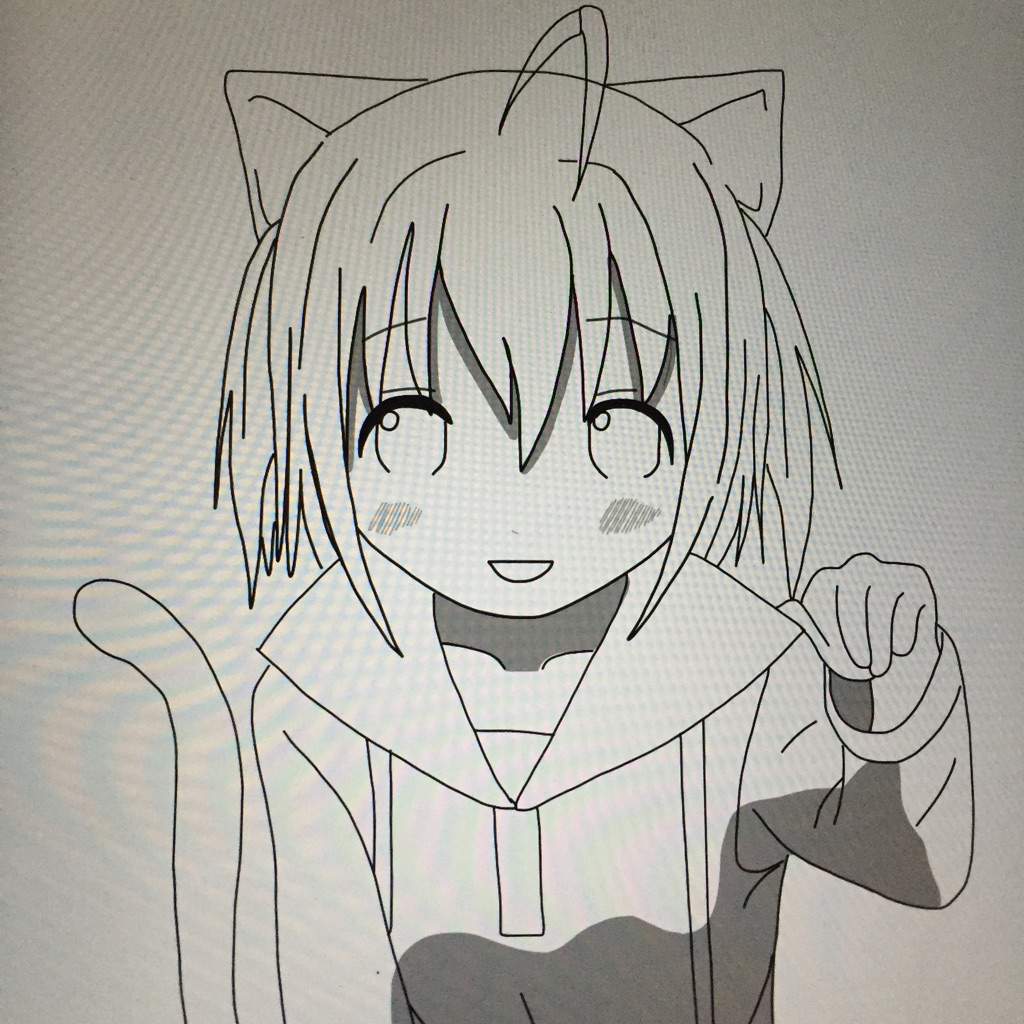 How To Draw Neko Girl Anime Amino