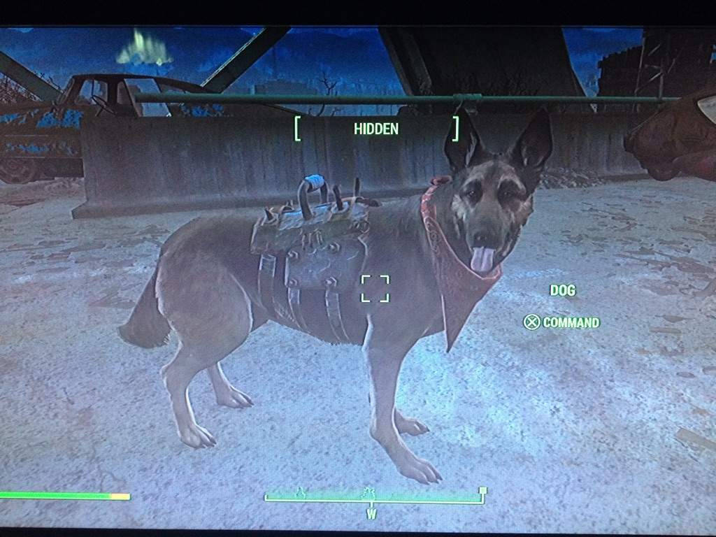 Featured image of post Fallout 4 Dog Armor Fallout 4 all armor locations for dogmeat