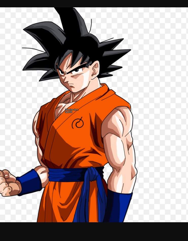 Son Goku/Dragon Ball Super | Wiki | Anime Amino