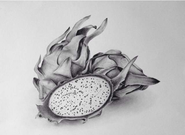 Featured image of post Dragon Fruit Drawing Realistic High quality realistic dragon gifts and merchandise