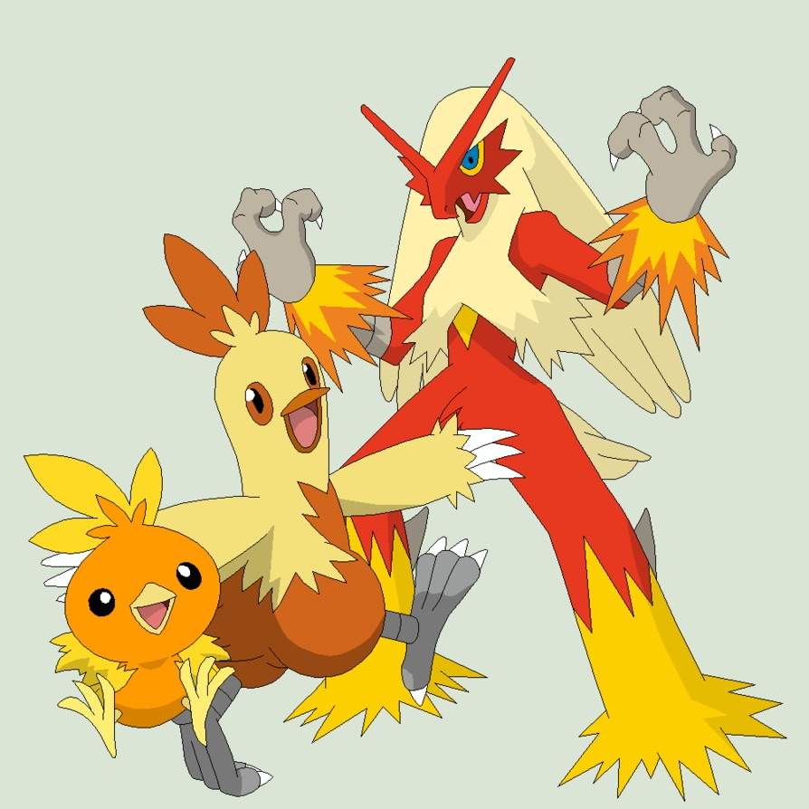 torchic pokedoll