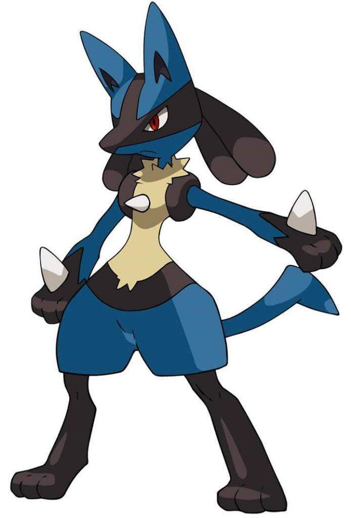 Lucario | Pokémon Amino