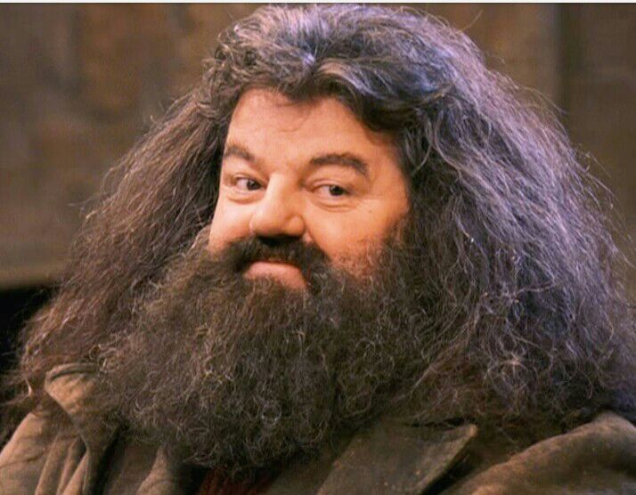 Image result for hagrid