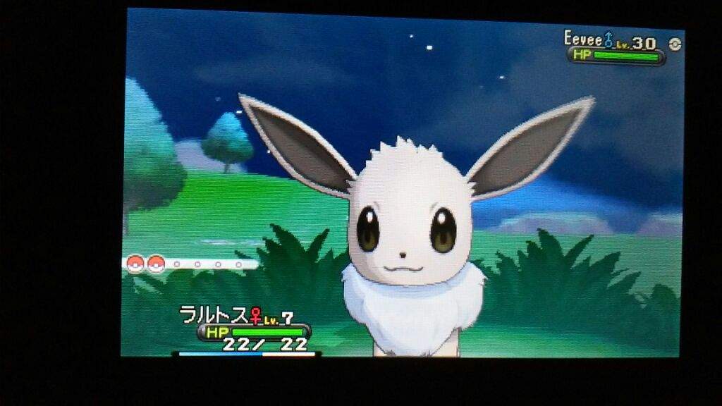 Shiny Hunting Shiny Eevee Pokemon Amino