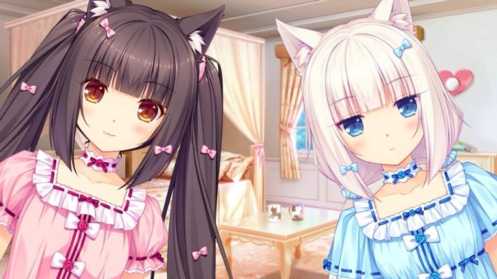 Studying with Nekopara | Anime Amino