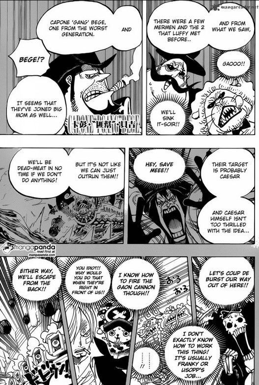 One Piece Manga Chapter 807 Full Review Spoilers Anime Amino