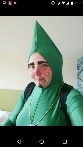 Tingle | Wiki | Cosplay Amino