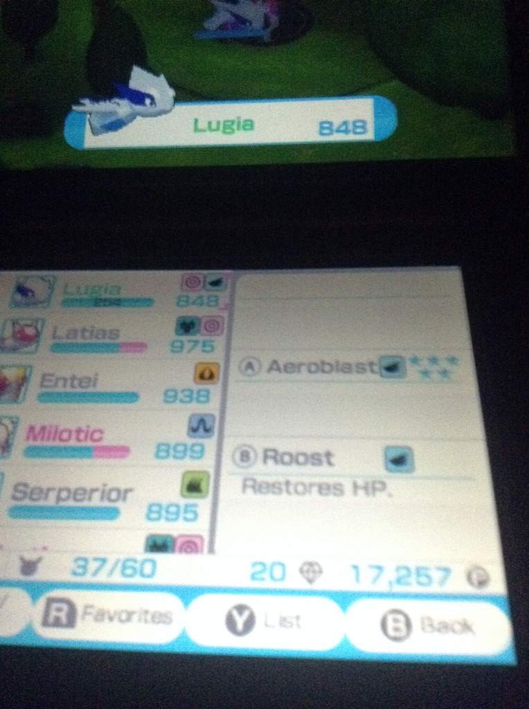 My idol Pokémon Amino