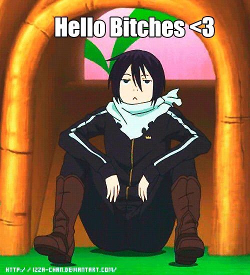 Noragami Funny Memes Anime Amino 