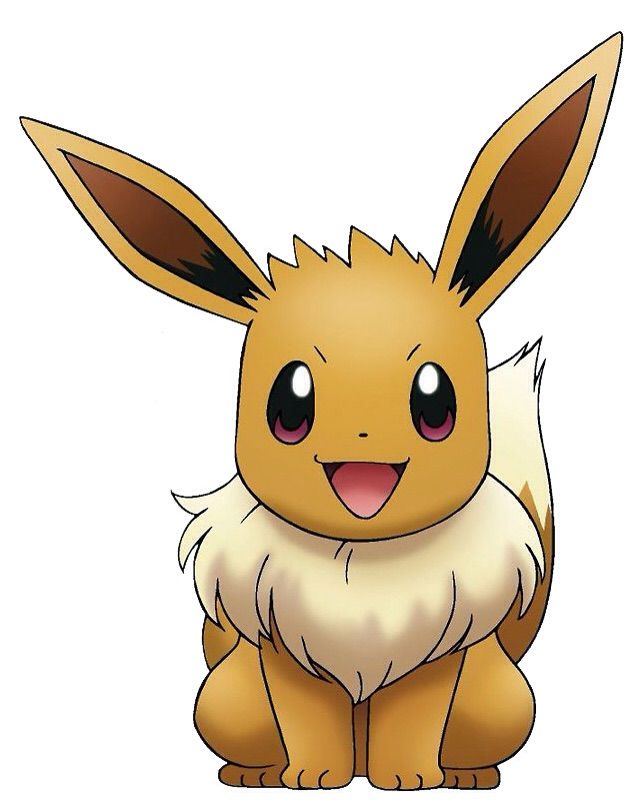 Eevee Is So Cute Pokemon Amino