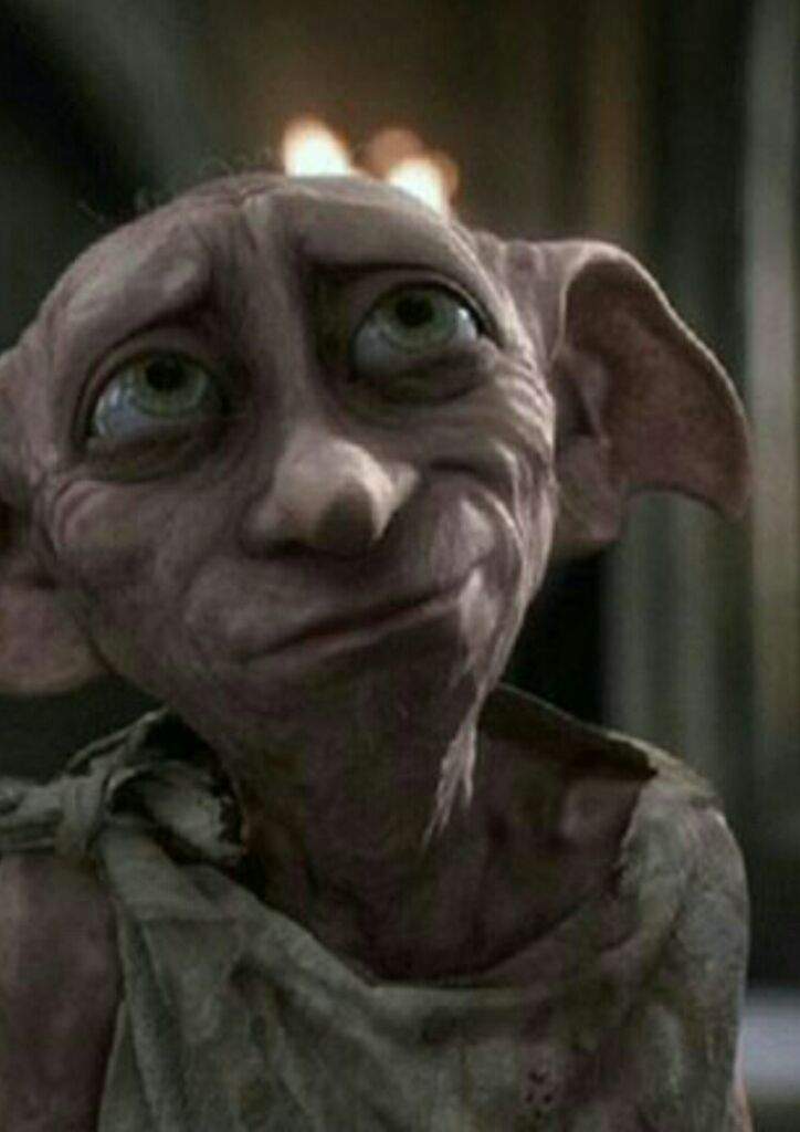 Why we all love Dobby | Harry Potter Amino