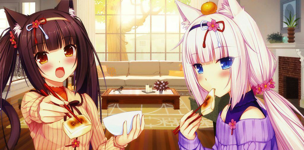 Chocola! | Anime Amino