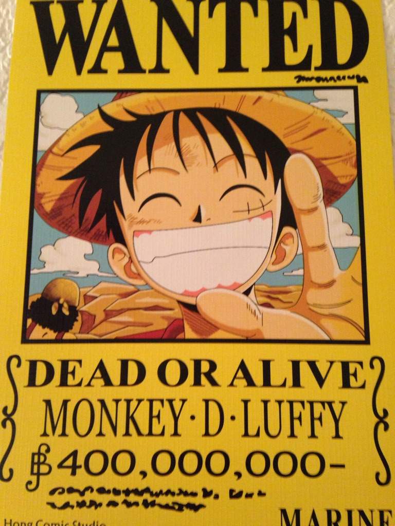 One Piece Wanted Posters Anime Amino