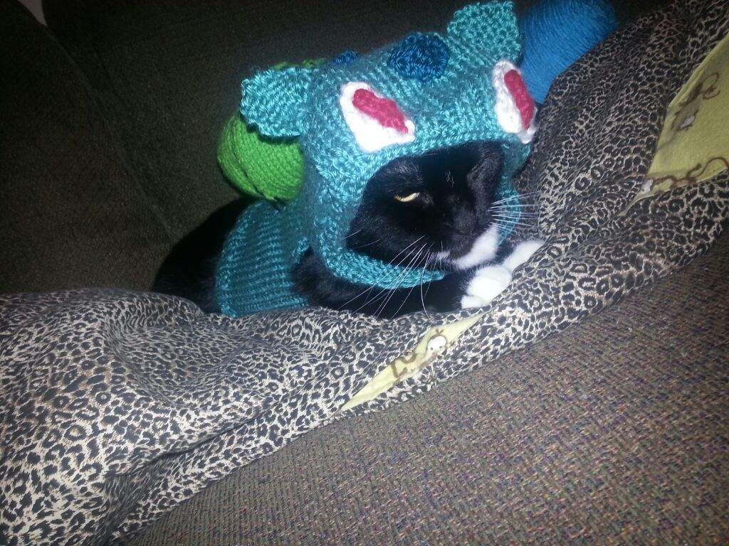 bulbasaur cat costume